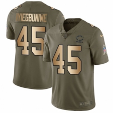Men's Nike Chicago Bears #45 Joel Iyiegbuniwe Limited Olive/Gold 2017 Salute to Service NFL Jersey