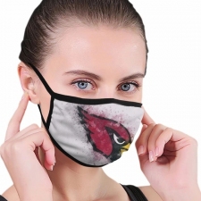Arizona Cardinals Mask-007