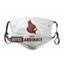 NFL Arizona Cardinals Mask-0033