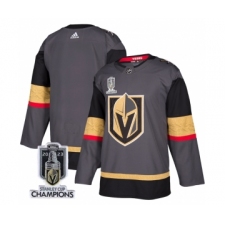 Men's Vegas Golden Knights Blank Gray 2023 Stanley Cup Champions Stitched Jersey