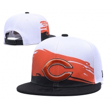 Chicago Bears Hats 005