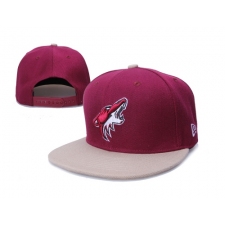 NHL Arizona Coyotes Stitched Snapback Hats 001