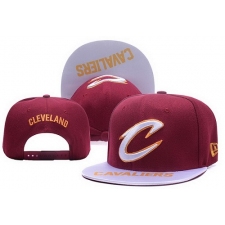 NBA Cleveland Cavaliers Stitched Snapback Hats 094