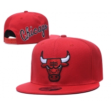 NBA Chicago Bulls Hats 004