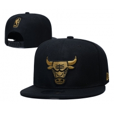 NBA Chicago Bulls Hats 009