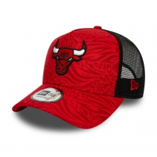 NBA Chicago Bulls Hats-931