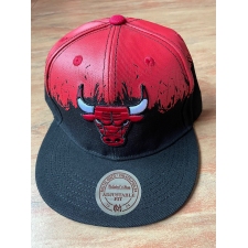 NBA Chicago Bulls Hats-934
