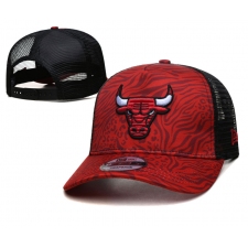 NBA Chicago Bulls Hats-937