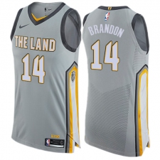 Men's Nike Cleveland Cavaliers #14 Terrell Brandon Authentic Gray NBA Jersey - City Edition