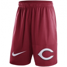 MLB Men's Cincinnati Reds Nike Red Dry Fly Shorts