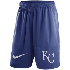 MLB Men's Kansas City Royals Nike Royal Dry Fly Shorts