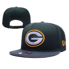 NFL Green Bay Packers Stitched Snapback Hats 063