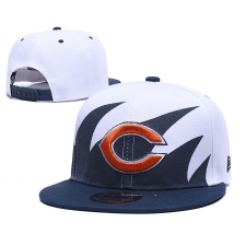 Chicago Bears Hats 002
