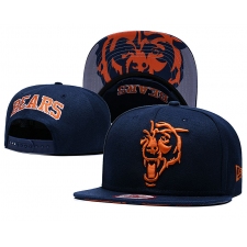 Chicago Bears Hats 004