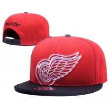 NHL Detroit Red Wings Stitched Snapback Hats 023