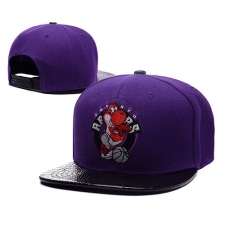 NBA Toronto Raptors Stitched Snapback Hats 021