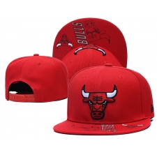 NBA Chicago Bulls Hats 007