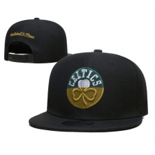 NBA Boston Celtics Hats-912