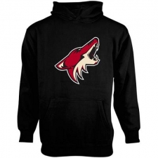 NHL Men's Old Time Hockey Arizona Coyotes Youth Big Logo Fleece Pullover Hoodie - Black