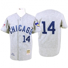 Men's Mitchell and Ness Chicago Cubs #14 Ernie Banks Authentic Grey Throwback MLB Jersey